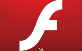 Facebook  wants Adobe to announce Flash's expiry date