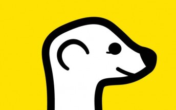 Meerkat can now livestream from a connected GoPro camera