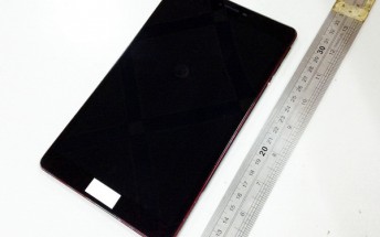 Google Nexus 8 tablet dummy shows up in photos