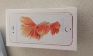 One iPhone 6s gets delivered early, and it benchmarks like a champ