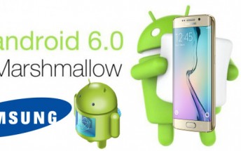 Samsung launches Marshmallow beta program for Galaxy S6