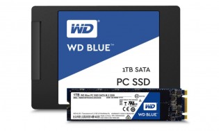 Western Digital's first SSDs: Blue