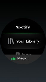 Tizen spotify online app