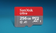 Grab a 256GB SanDisk microSD card for $120