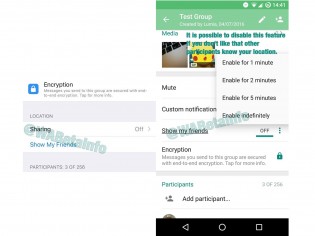 WhatsApp features in testing