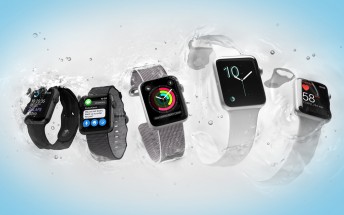 Apple now king of wearables, main competitors decline