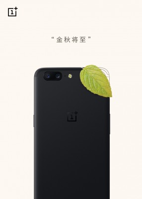 OnePlus 5: Autumn is coming (... and brings mint?)