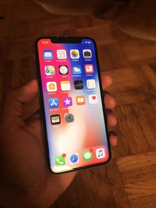 Apple iPhone X in the wild (click to enlarge) - image source