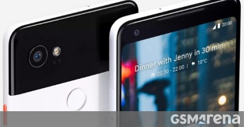 Google Pixel 2 photo and video samples - there's a puppy and portraits ...