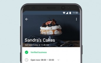 WhatsApp introduces Business app