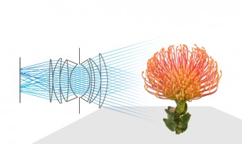 How Light field cameras work