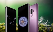 Tepid reception for the Samsung Galaxy S9 in Korea