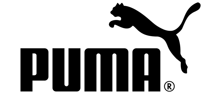 Puma clearance fossil smartwatch