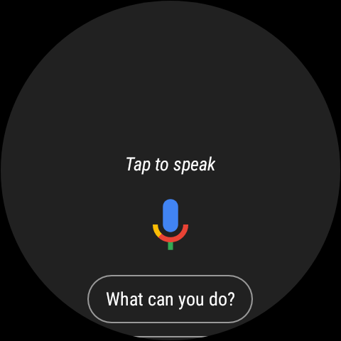 Google assistant wear store os