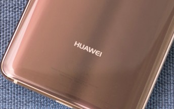 Huawei Mate 20 Pro appears in the wild with fingerprint scanner on the back