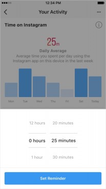Facebook and Instagram have virtually the same tool for monitoring activity