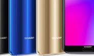 Sharp enters smartphone OLED panels market