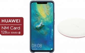 Major Huawei Mate 20 Pro leak features high quality case renders