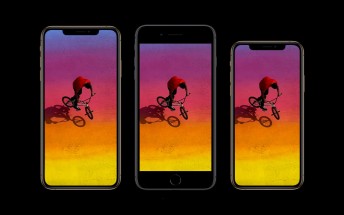 Weekly poll results: the iPhone XS Max gets a few interested looks