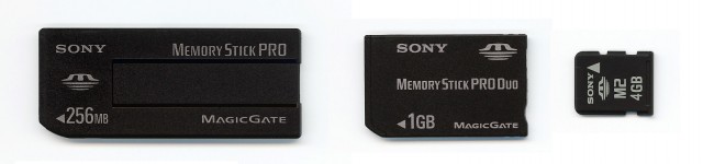 Memory Stick (<a href='https://commons.wikimedia.org/wiki/File:MSst_duo_m2.jpg' target='_blank'>image credit</a>)