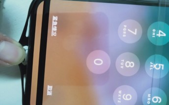 Galaxy S10+'s chin to be comparable to that of the iPhone X, smaller than Mate 20 Pro's