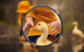 Huawei continues its P30 teaser campaign with some impressive zoom photos