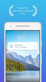 The interface of Calm