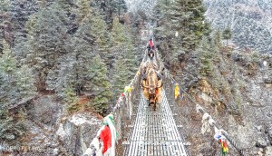 Porters along the journey