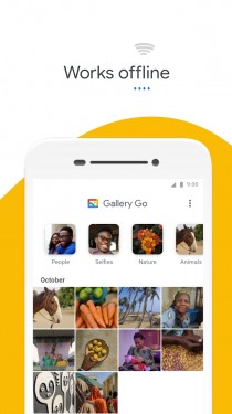 Gallery Go interface