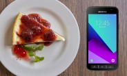 Samsung begins rollout of Android Pie for Galaxy Xcover 4