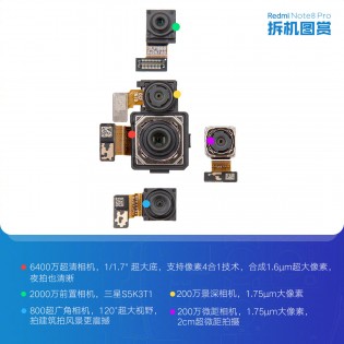 Rear quad camera and selfie cam