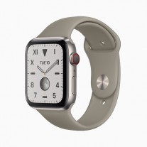 Apple Watch Series 5 in: Brushed titanium