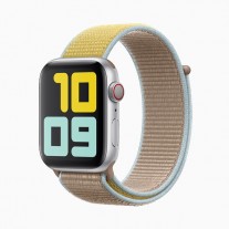 Apple Watch Series 5 in: Silver aluminum