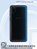 Samsung Galaxy M30s (photos by TENAA)