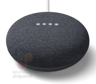 Alleged Nest Home Mini