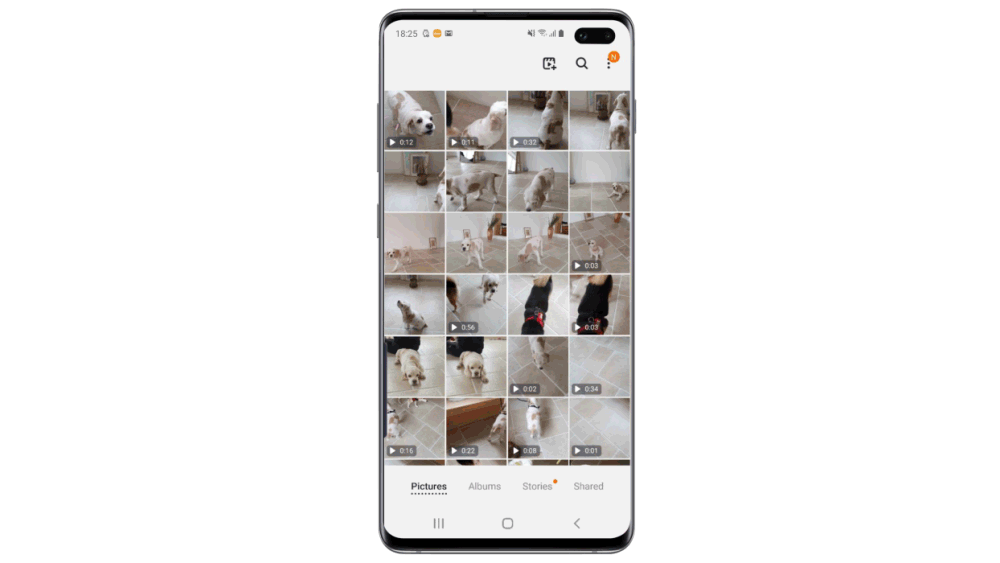 Massive Galaxy S10 update allows you to search images by keywords