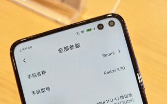 Redmi K30 actually has two punch holes on its display