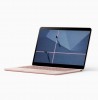 Google Pixelbook Go in Not Pink