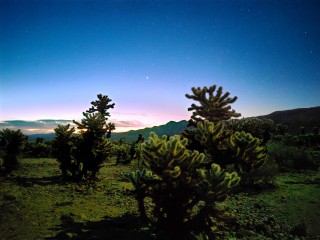 Realme X50 Pro Night mode off (left) and on (right)