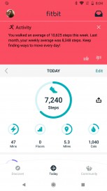 Fitbit 