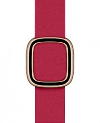 Modern Buckle leather straps