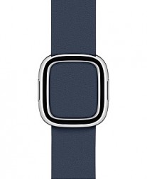 Modern Buckle leather straps