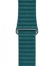 Modern Buckle leather straps