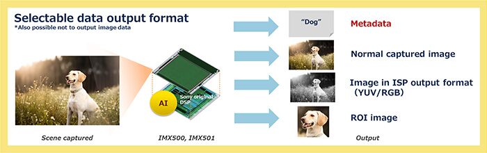 Sony's Intelligent Vision Sensor is the first to have AI processing hardware on board