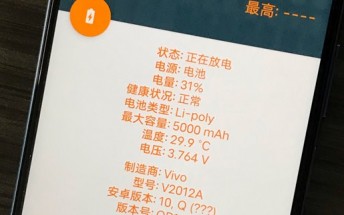 iQOO Z1x battery capacity revealed