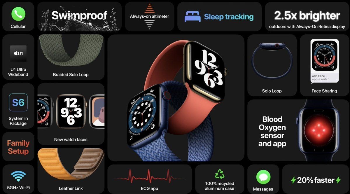 Apple watch se online altimeter