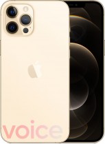 Apple iPhone 12 Pro Max (leaked images)