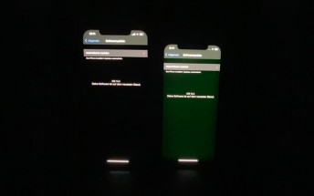 Some Apple iPhone 12 units plagued by display tinting and flickering