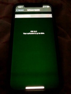 iPhone 12 series green tint issue
