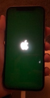 iPhone 12 series green tint issue